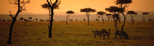 Природные зоны